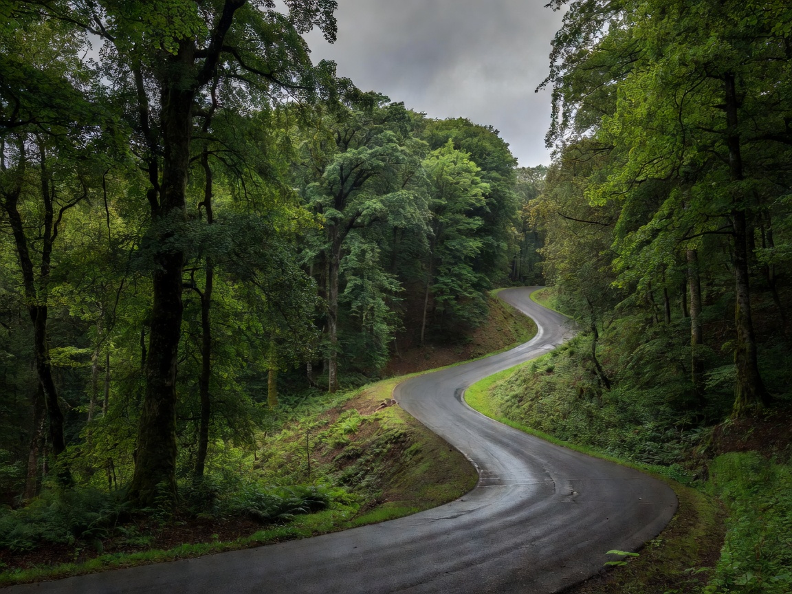 Ardennes forest circuit turn showing elevation change